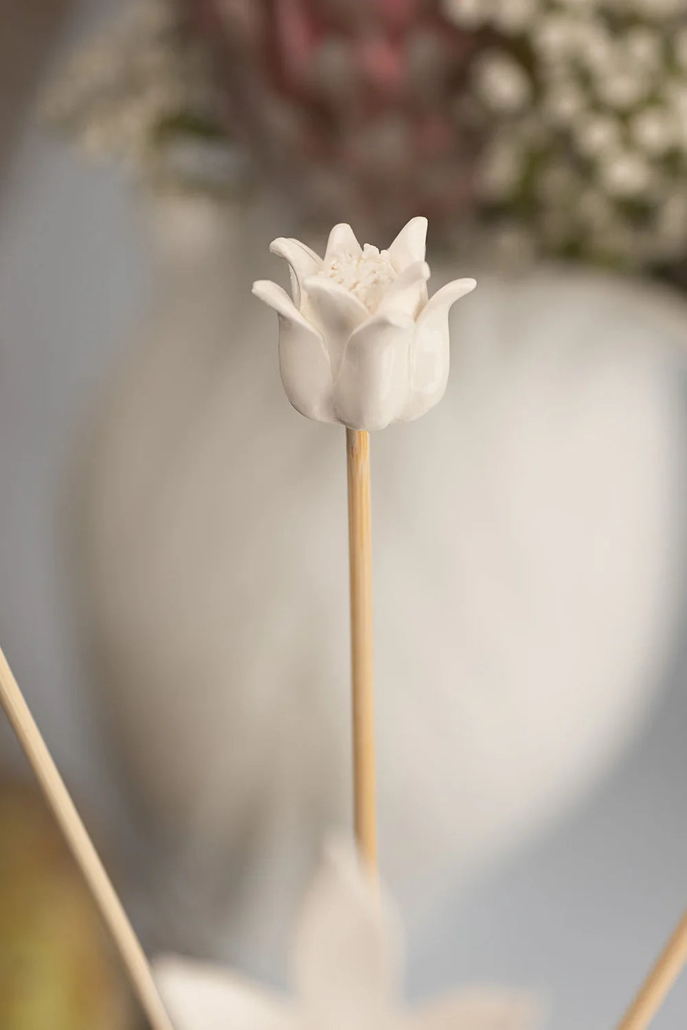 Fynbos Diffuser Gift Set