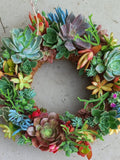 Living Succulent Wreaths | Earthbound Succulent Designs