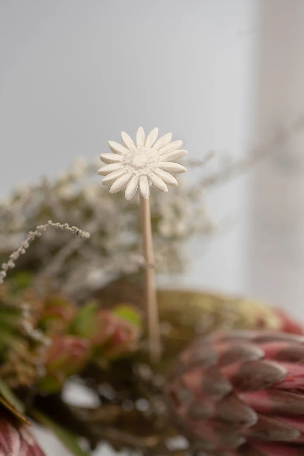 Fynbos Diffuser Gift Set