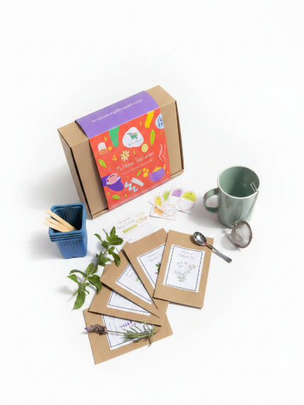 Little Garden Grow Kits for Kids