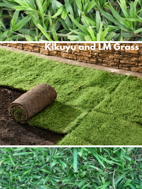 Farm Fresh Instant Lawn Gauteng | Kikuyu & LM Grass