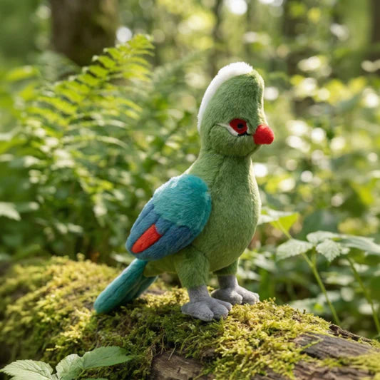 Little Birder Gift Pack | Bird Watching Kit for Kids | Feather Friends