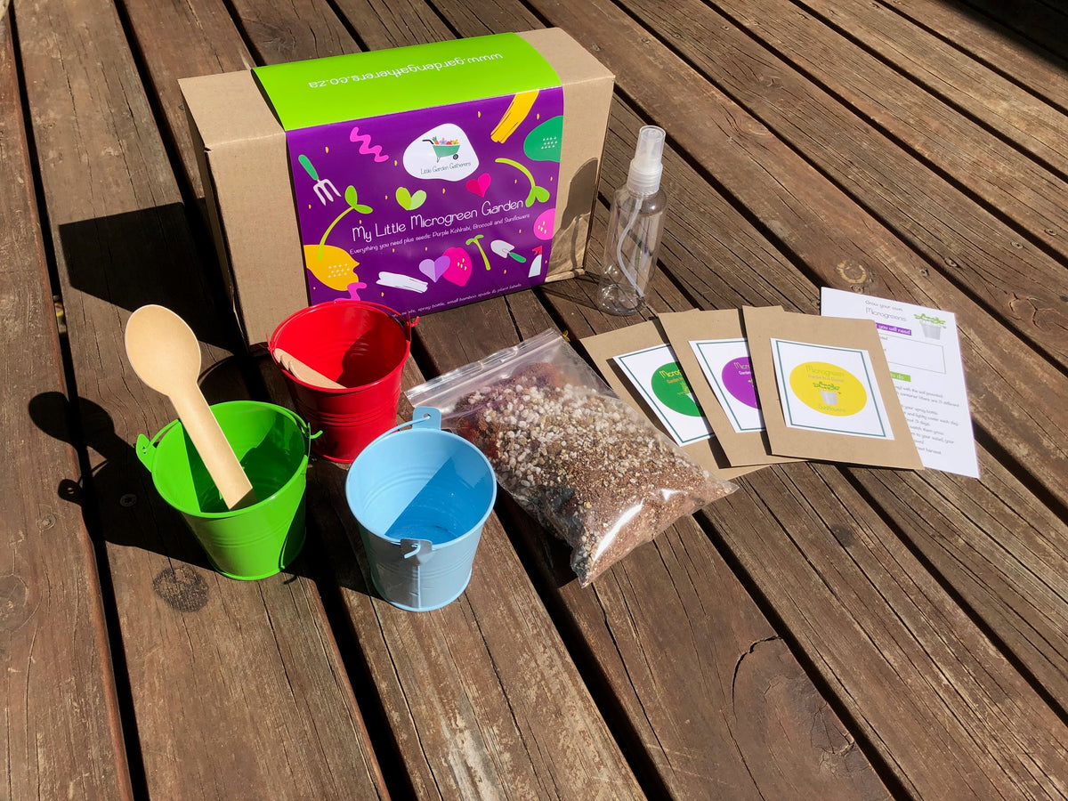 Little Garden Grow Kits for Kids