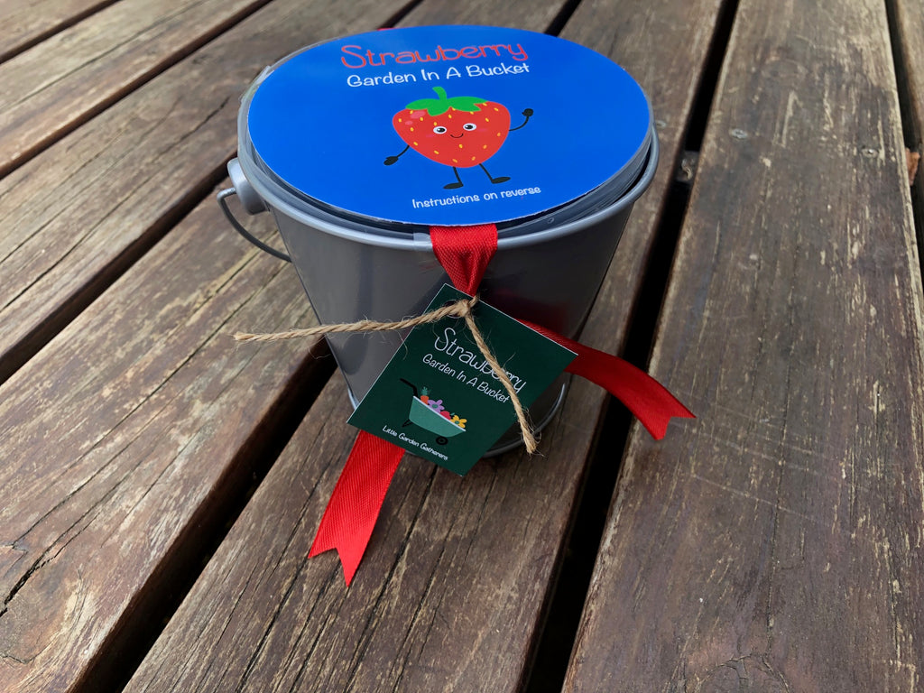 Garden Buckets for Kids