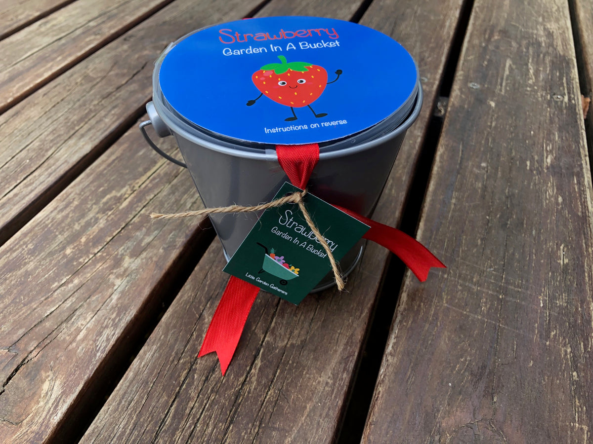 Garden Buckets for Kids