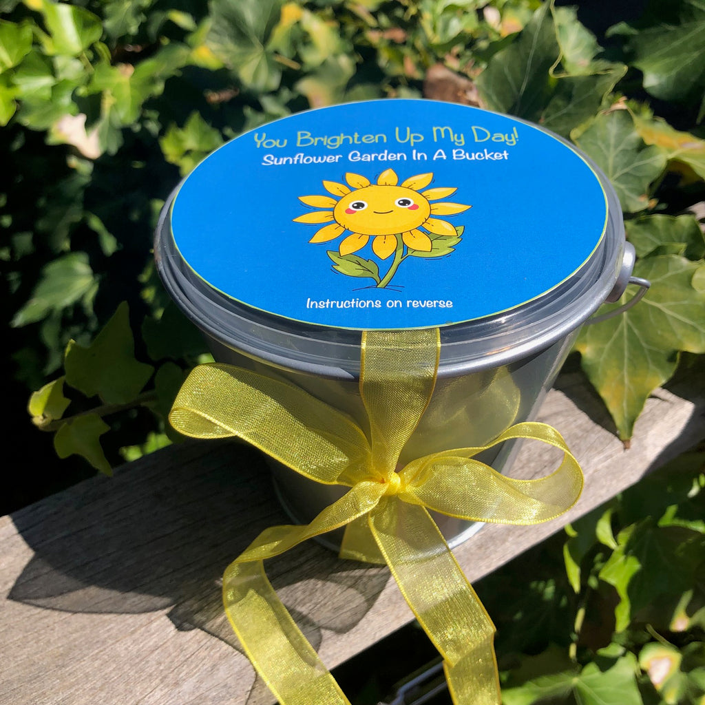 Garden Buckets for Kids