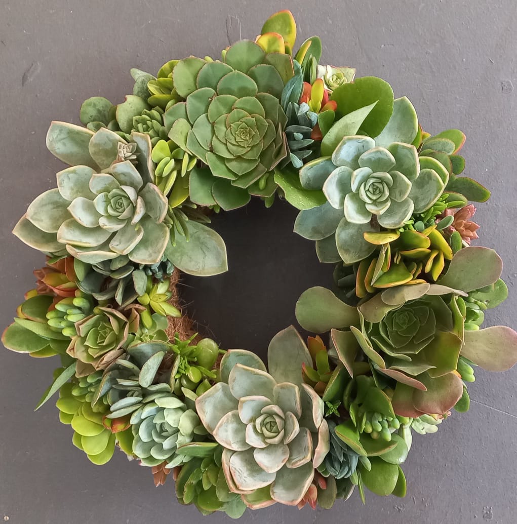 Living Succulent Wreaths | Earthbound Succulent Designs