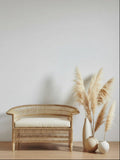 Peacock-style Rattan Furniture