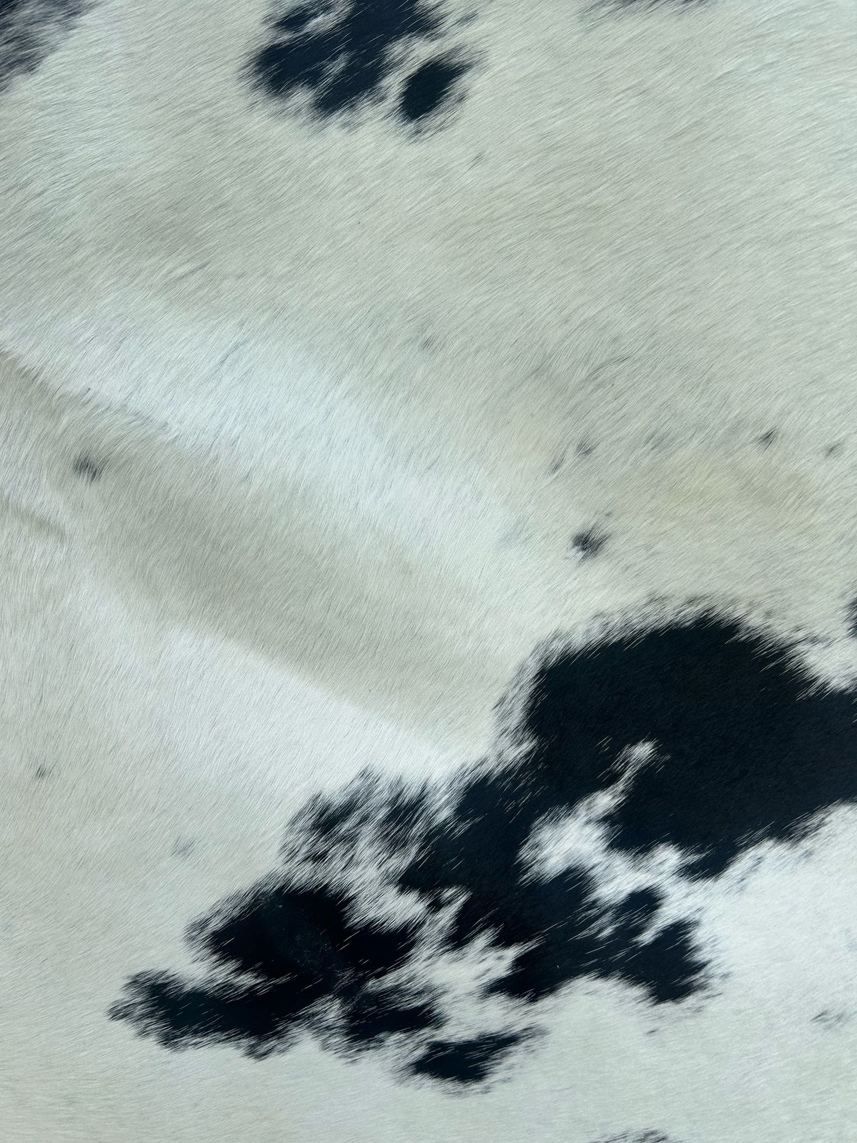 Premium South African Nguni Hides (3m x 1.5m)