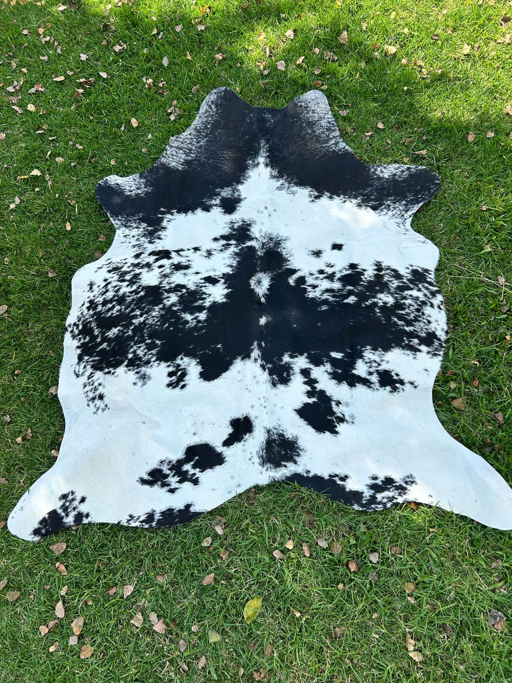 Premium South African Nguni Hides (3m x 1.5m)