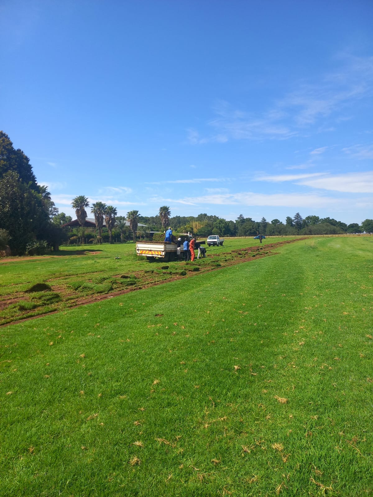 Farm Fresh Instant Lawn Gauteng | Kikuyu & LM Grass