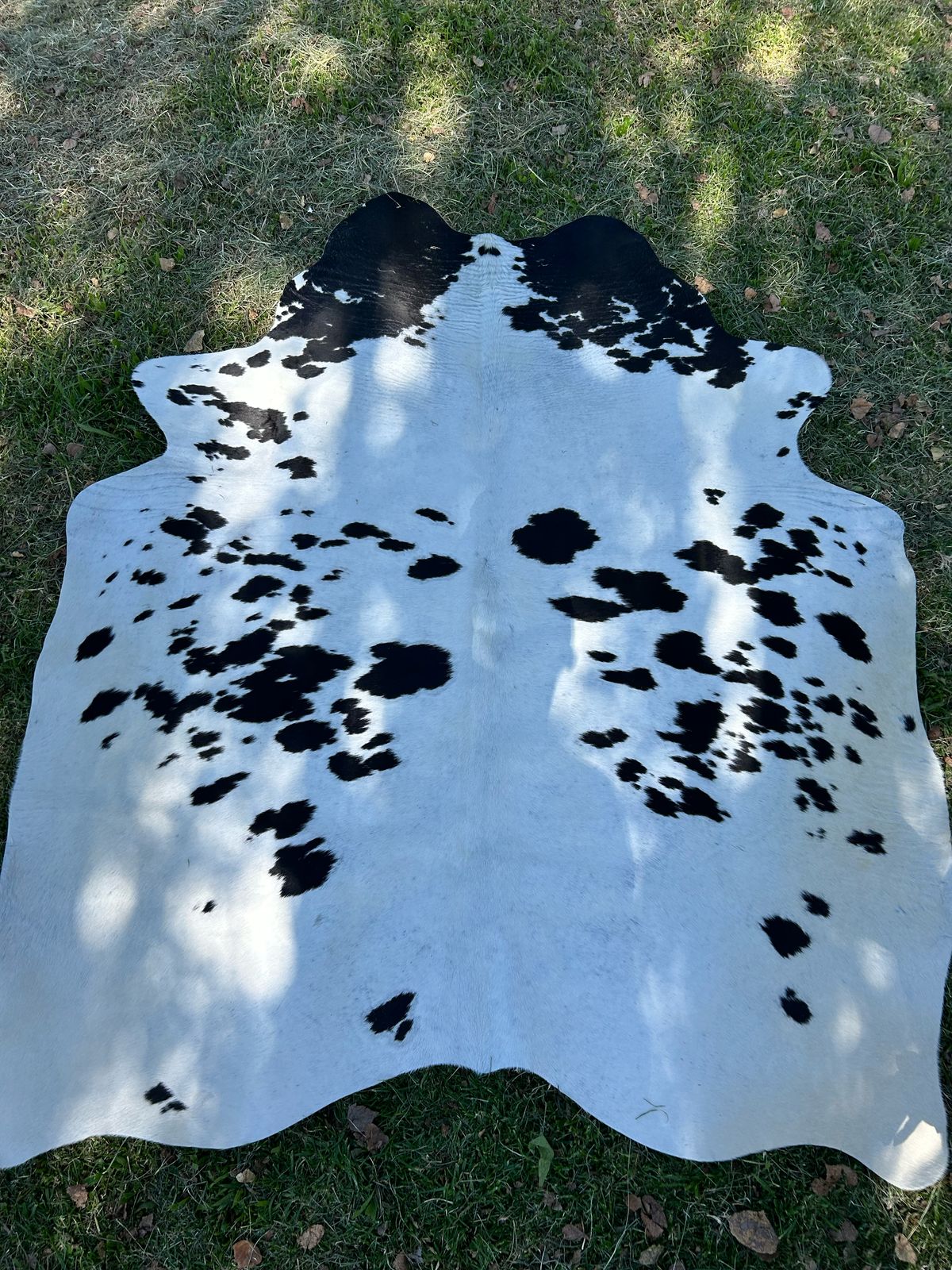 Premium South African Nguni Hides (3m x 1.5m)