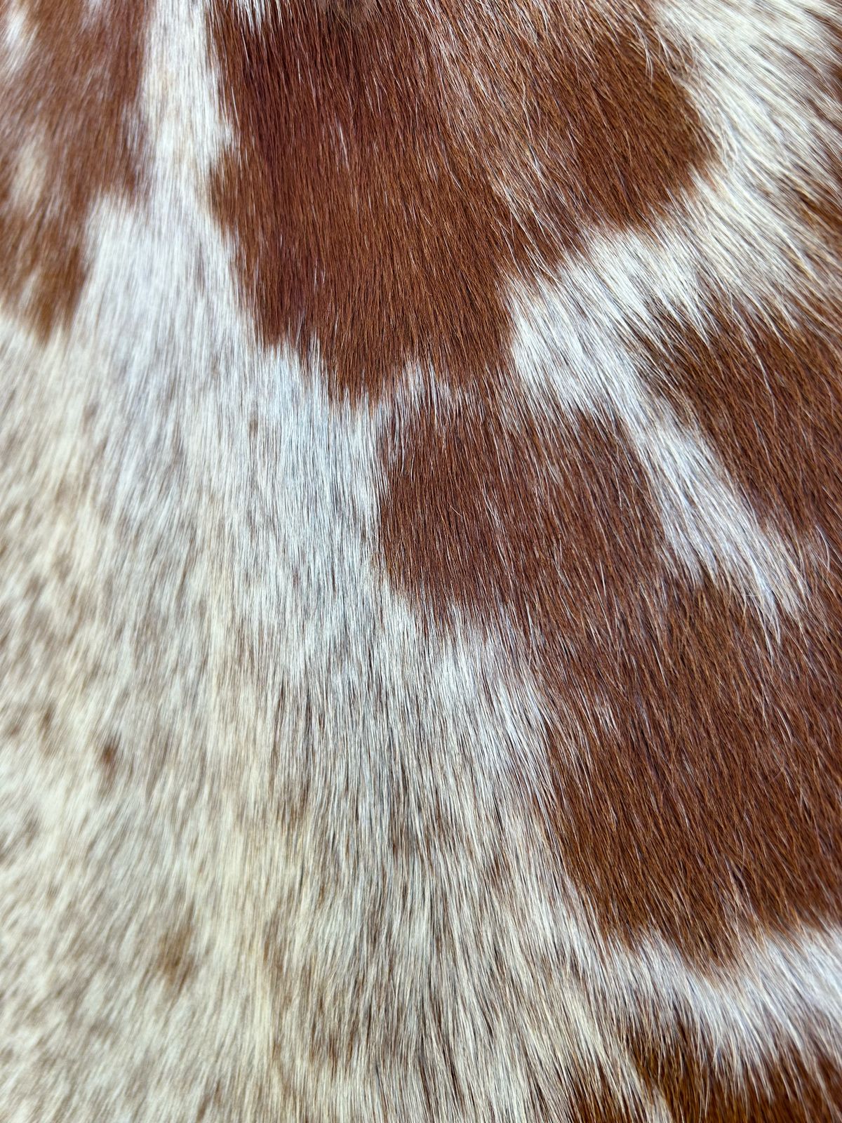 Premium South African Nguni Hides (3m x 1.5m)