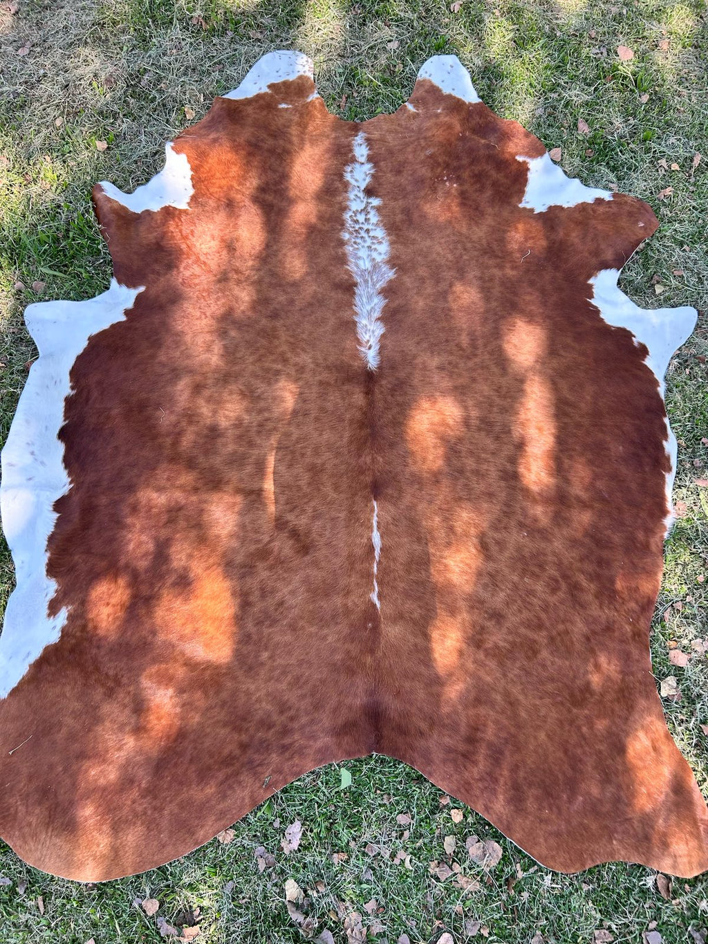 Premium South African Nguni Hides (3m x 1.5m)