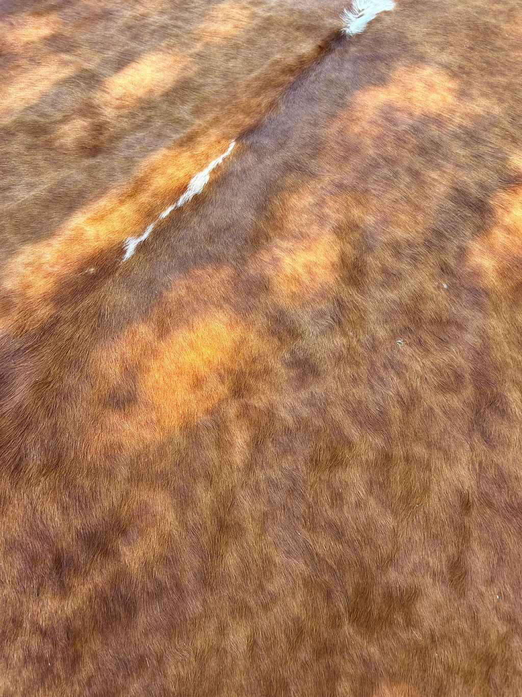 Premium South African Nguni Hides (3m x 1.5m)