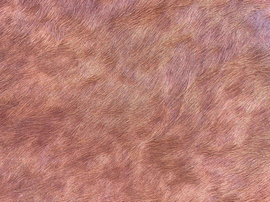 Premium South African Nguni Hides (3m x 1.5m)
