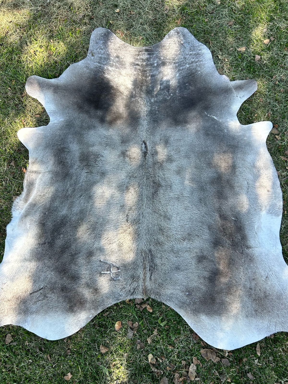Premium South African Nguni Hides (3m x 1.5m)