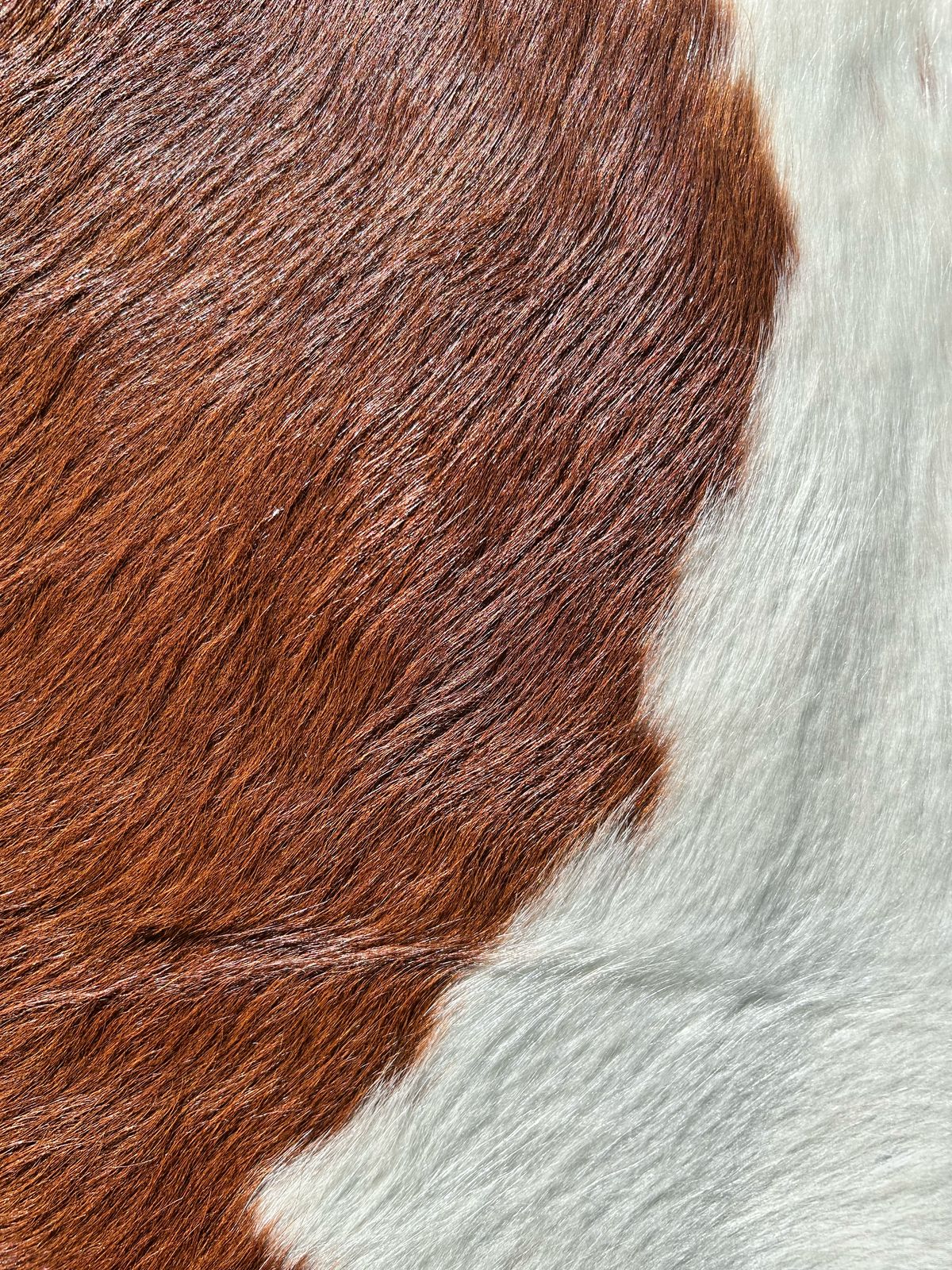 Premium South African Nguni Hides (3m x 1.5m)