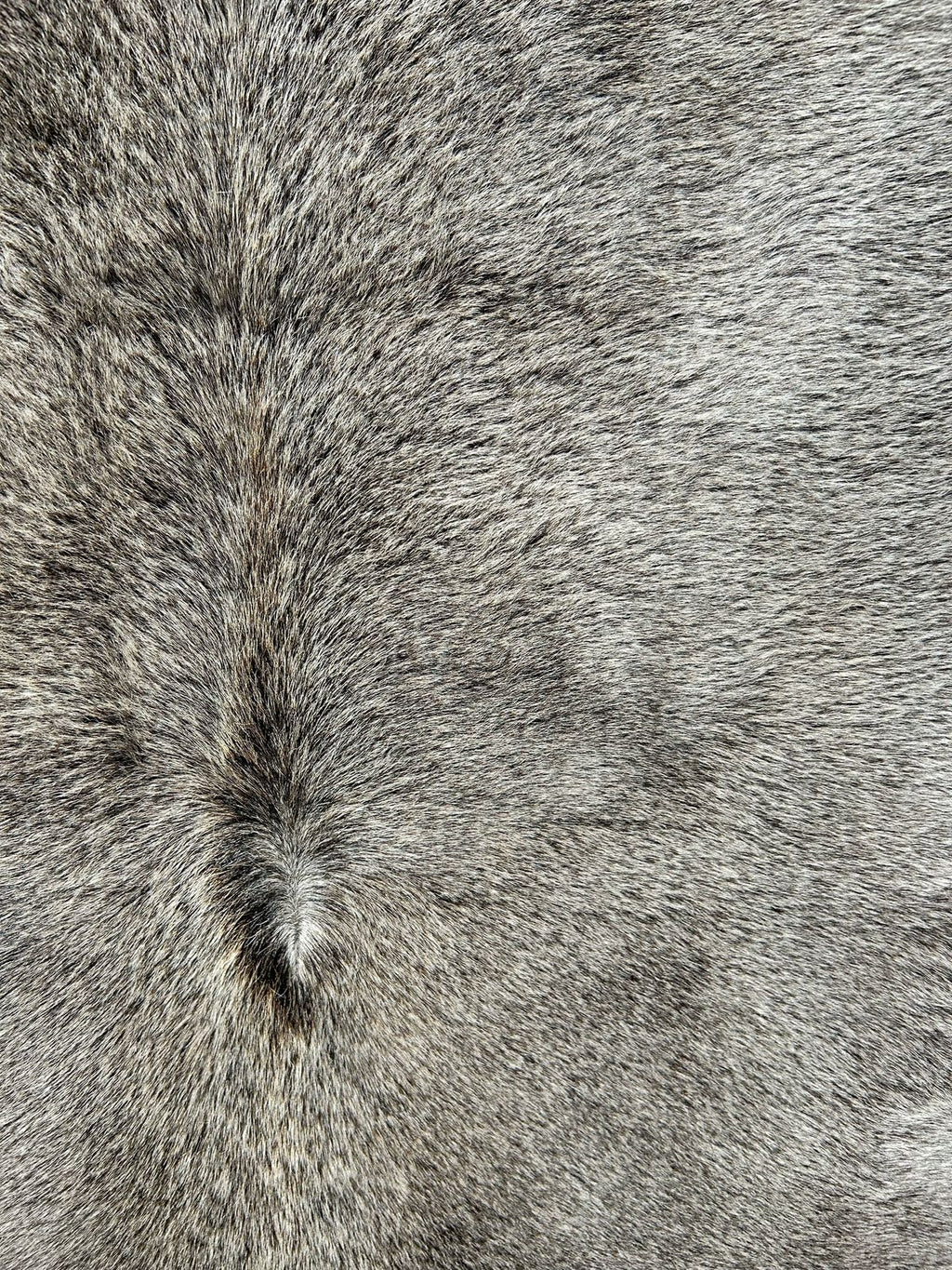 Premium South African Nguni Hides (3m x 1.5m)