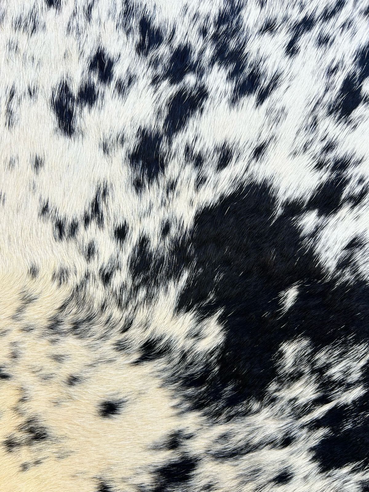 Premium South African Nguni Hides (3m x 1.5m)