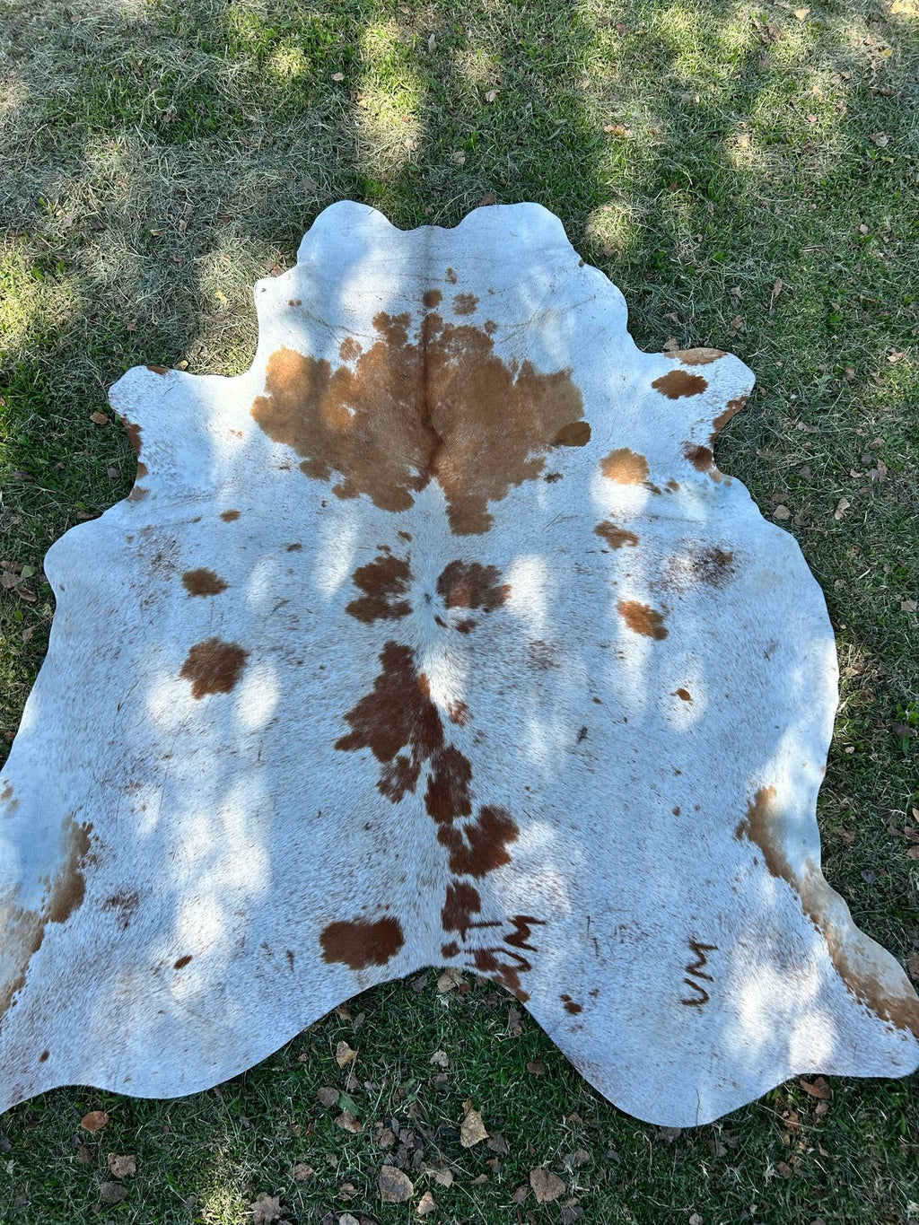 Premium South African Nguni Hides (3m x 1.5m)