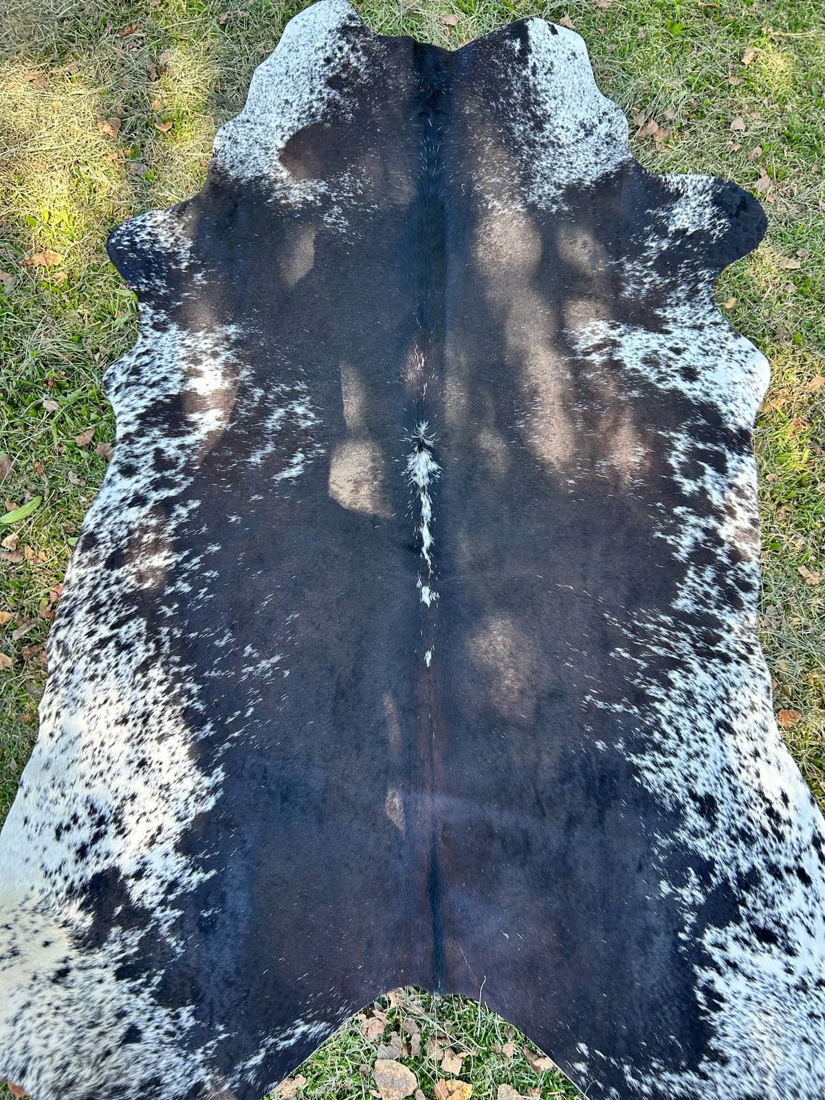 Premium South African Nguni Hides (3m x 1.5m)