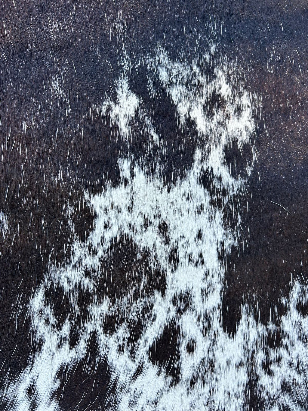 Premium South African Nguni Hides (3m x 1.5m)