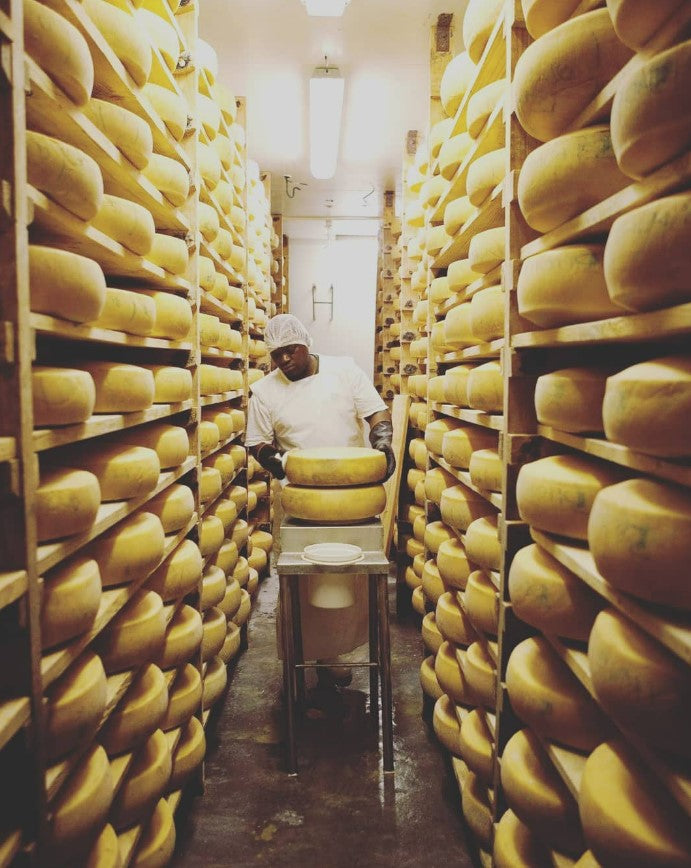 Artisan Farm Cheese | Handcrafted South African Cheese