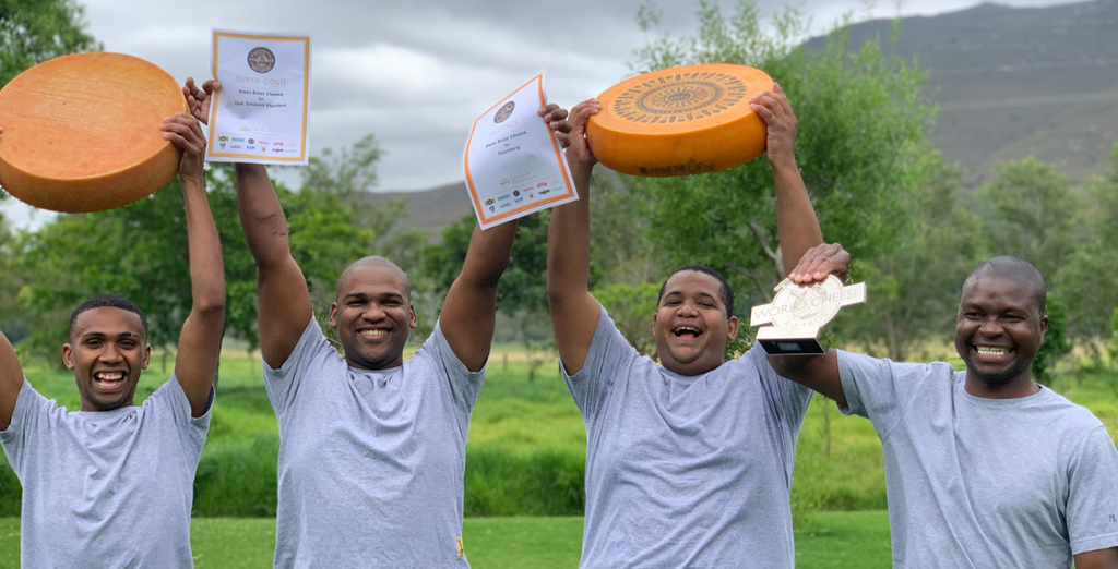 Artisan Farm Cheese | Handcrafted South African Cheese