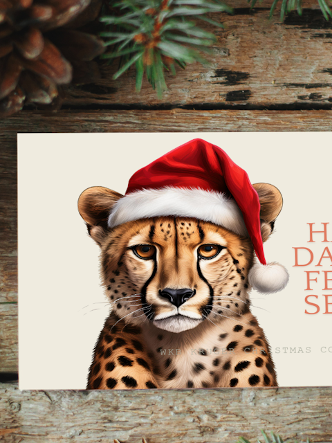 Big Five Illustrated South African Christmas Cards (Pack of 5)