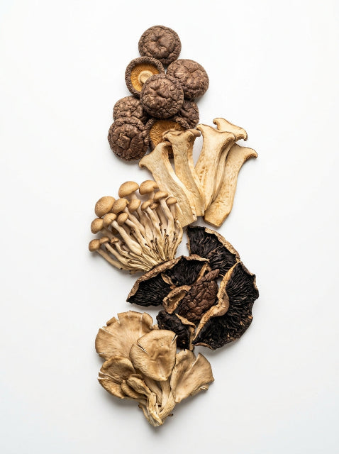 Premium Dried Exotic Mushrooms (30g) | Truffle Pig