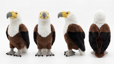 Little Birder Gift Pack | Bird Watching Kit for Kids | Feather Friends