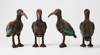Little Birder Gift Pack | Bird Watching Kit for Kids | Feather Friends
