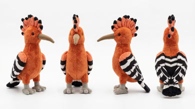 Little Birder Gift Pack | Bird Watching Kit for Kids | Feather Friends