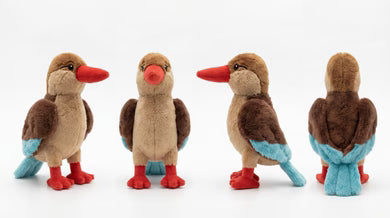 Little Birder Gift Pack | Bird Watching Kit for Kids | Feather Friends