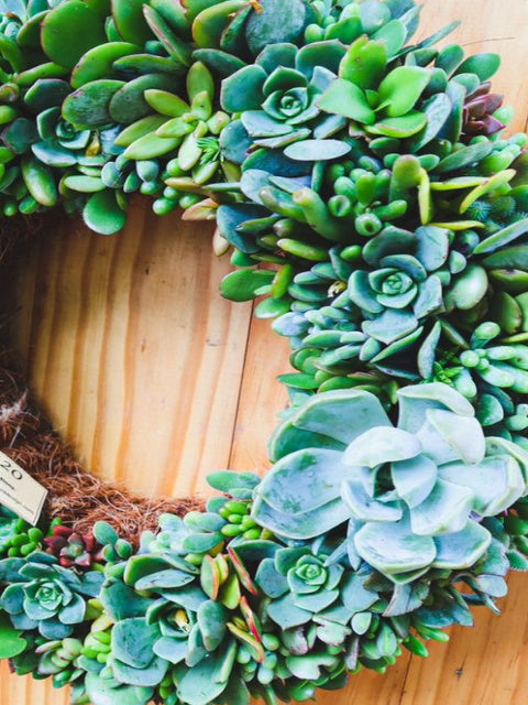 Living Succulent Wreaths | Earthbound Succulent Designs
