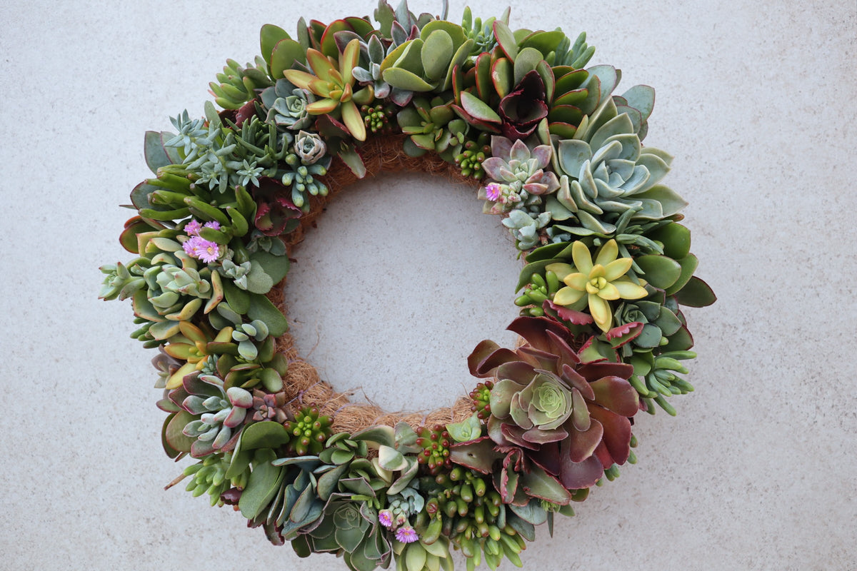 Living Succulent Wreaths | Earthbound Succulent Designs