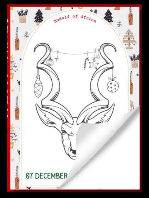Safari Christmas Countdown Colouring Book | Wildkidsbooksa