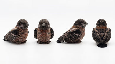 Little Birder Gift Pack | Bird Watching Kit for Kids | Feather Friends