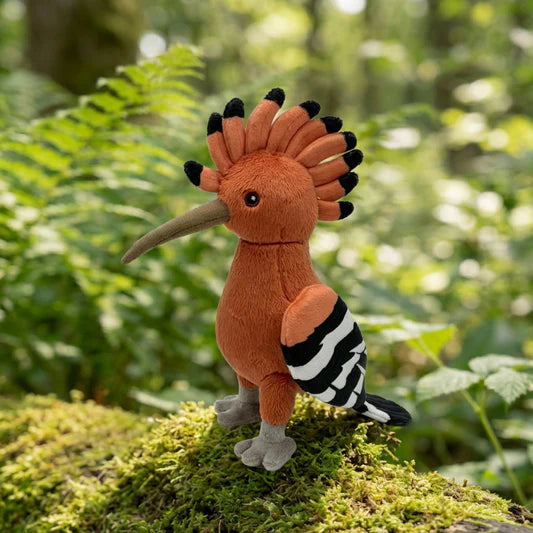 Little Birder Gift Pack | Bird Watching Kit for Kids | Feather Friends