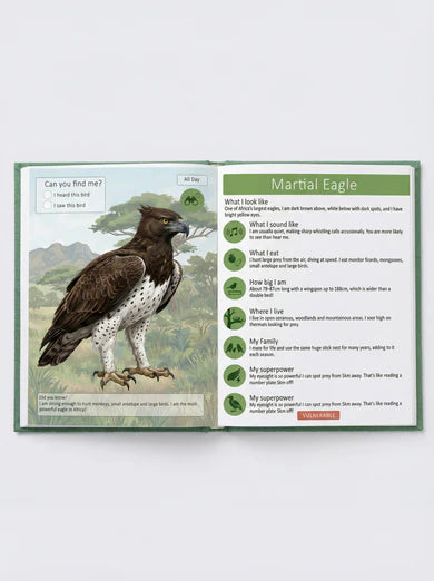 Little Birder Gift Pack | Bird Watching Kit for Kids | Feather Friends