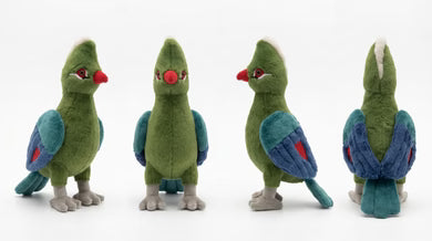 Little Birder Gift Pack | Bird Watching Kit for Kids | Feather Friends