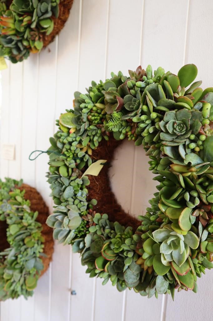 Living Succulent Wreaths | Earthbound Succulent Designs