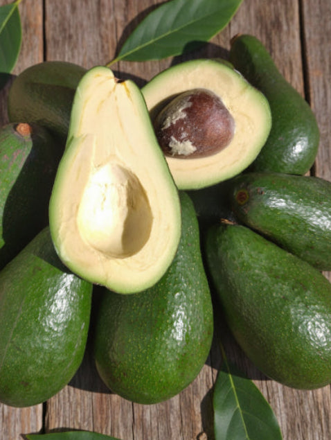 Avocado
