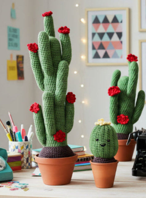 Crochet Cacti, by Pretty Fingers - Truffle Pig Recce